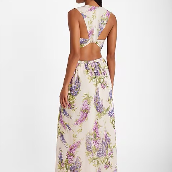 Express Floral V-Neck Sleeveless Cutout Open Back Maxi Dress NWT size XL - Picture 4 of 4